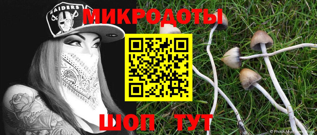Галлюциногенные грибы Psilocybine cubensis Вичуга
