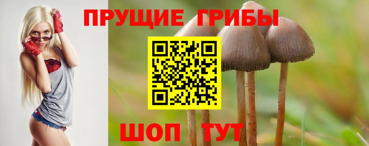 Псилоцибиновые грибы Psilocybe  Галлюциногенные грибы Cubensis  Вичуга  Вход с VPN 